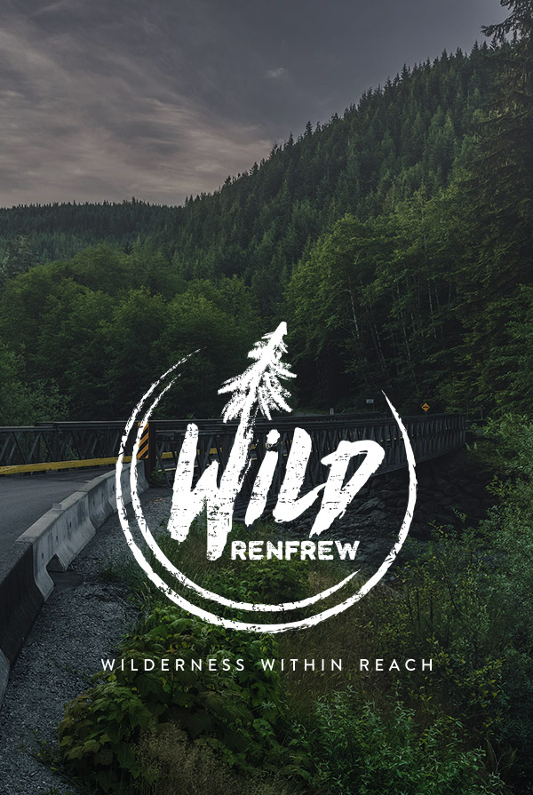 Wild Renfrew logo on image of forest