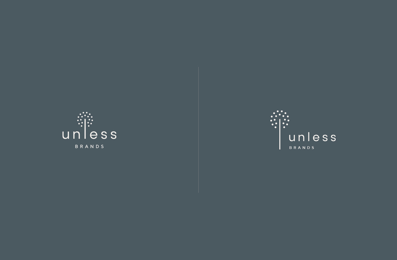 Unless Brands - Leap XD